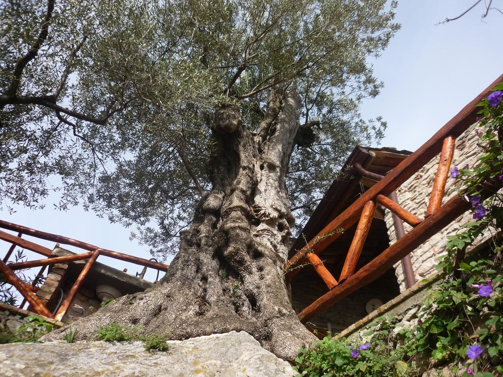 Bed and Breakfast Rocca Del Vento San Pantaleone Exterior foto