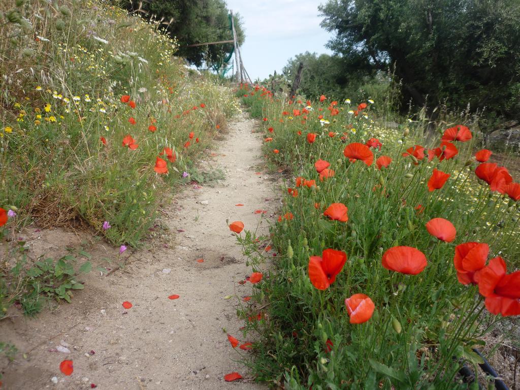Bed and Breakfast Rocca Del Vento San Pantaleone Exterior foto