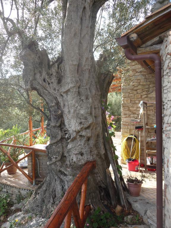 Bed and Breakfast Rocca Del Vento San Pantaleone Exterior foto