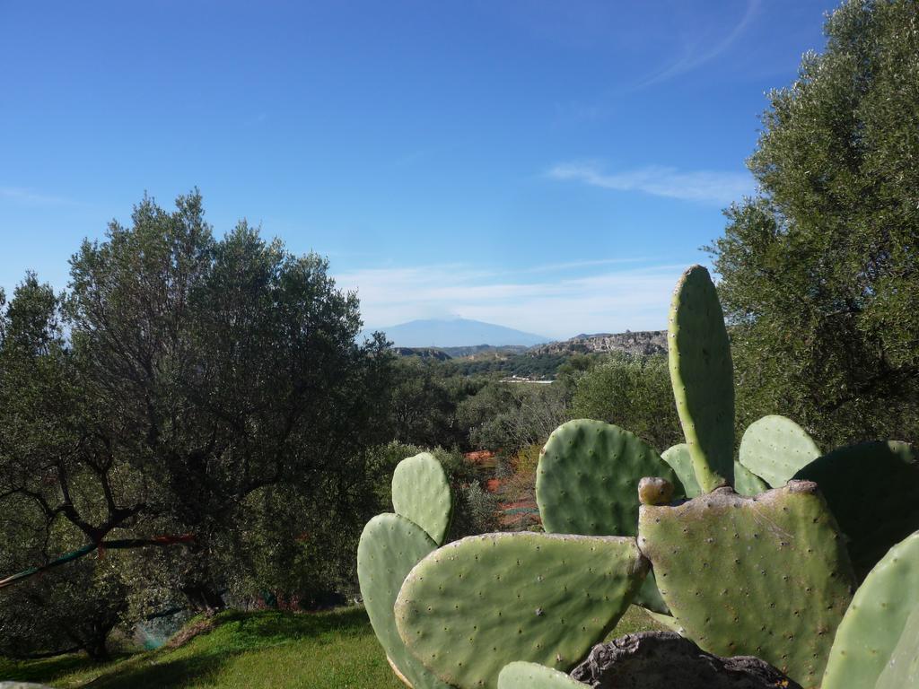 Bed and Breakfast Rocca Del Vento San Pantaleone Exterior foto
